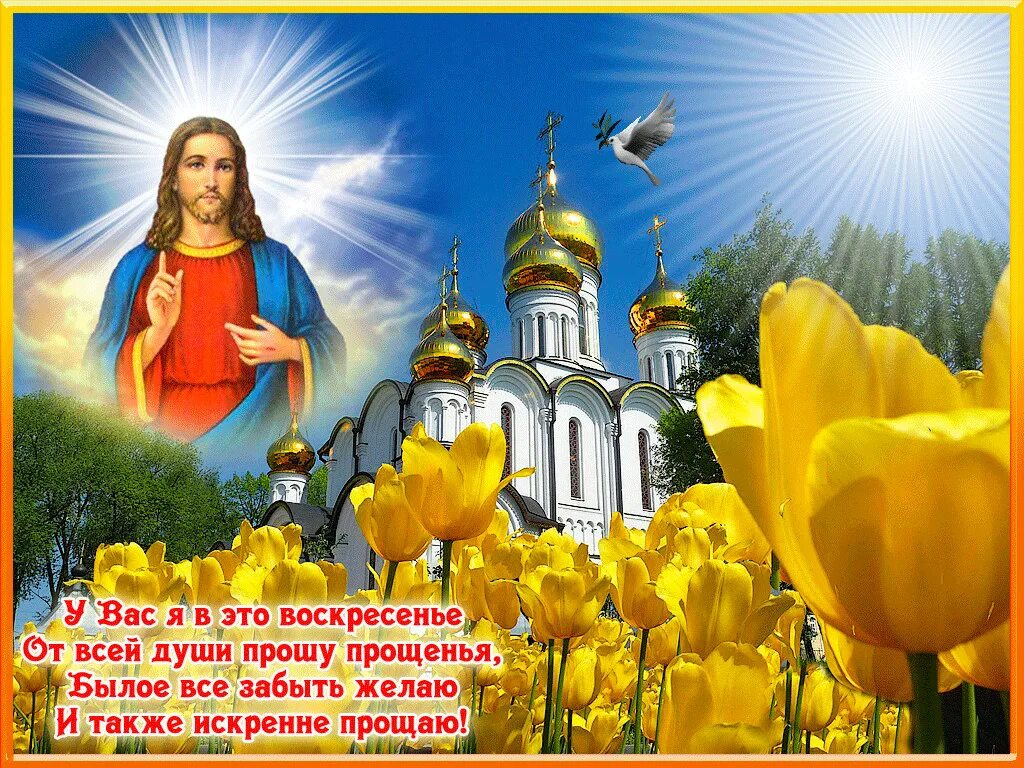 Проси пробачення