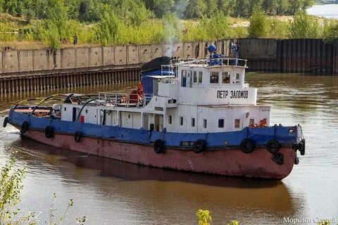 Питомник стаховского поселок красный буксир
