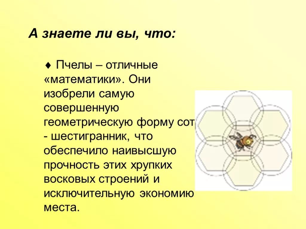 Пчелы и математика интересные факты. Соты пчел и математика. Факты про пчел математика. Форма пчелиных сот в геометрии.