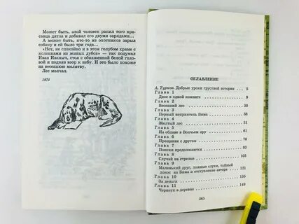 Белый бим черное ухо сколько страниц