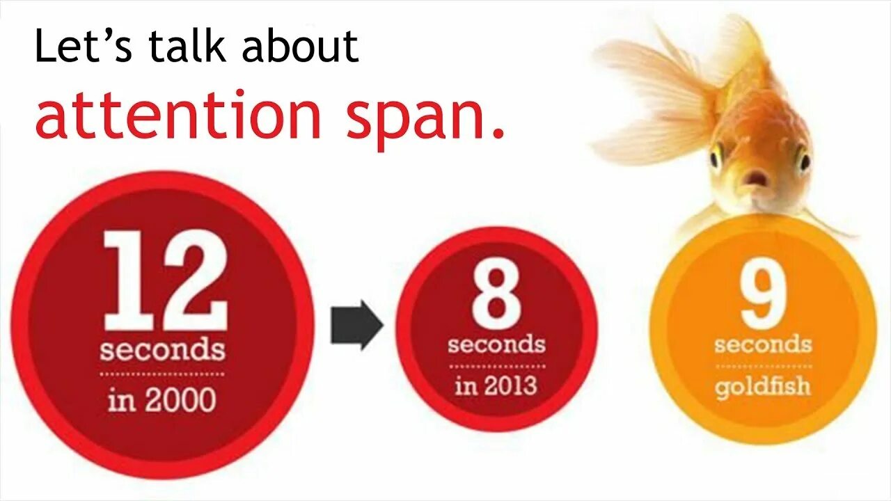 Attention span. The average Human attention span. Short attention span. Low attention span. Attention spin