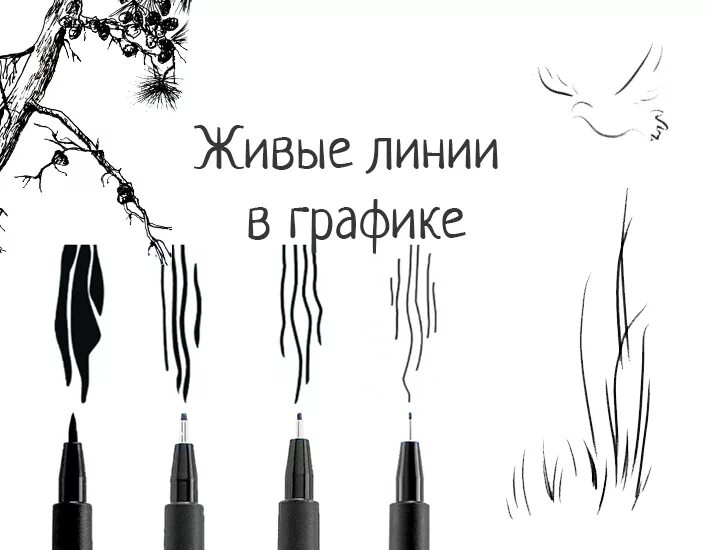 Line значение. Графика линии. Виды графических линий. Разновидности линий Графика. Характер линий в графике.