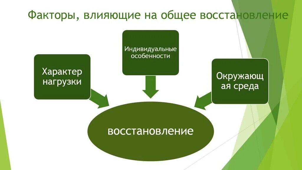 Факторы влияющие на строение. Факторы влияющие на регенерацию. факторы влияющие на процесс регенерации. факторы успешно влияющие на регенерацию. факторы и характеристики влияющие на регенерацию.
