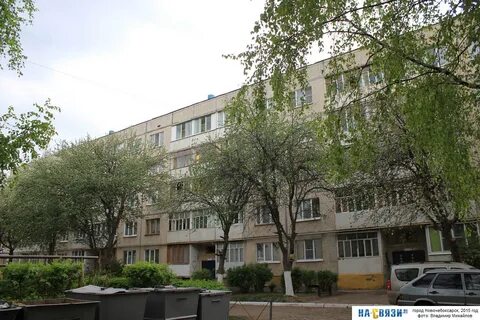 Зеленая дом 8