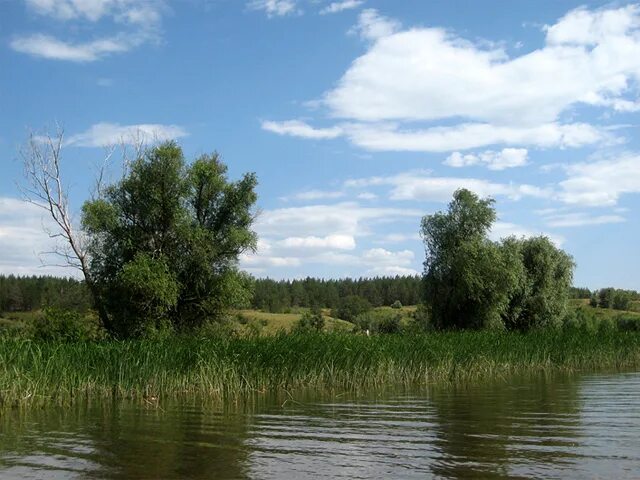 Поповка саратовская область саратовский район