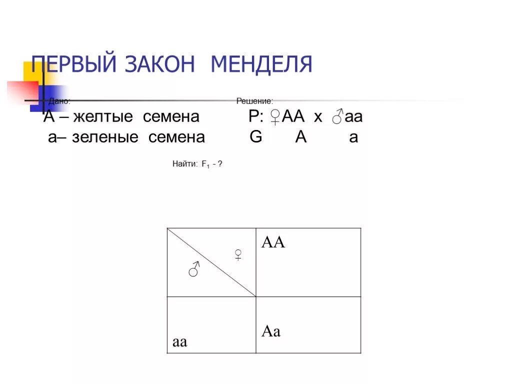 Задачи по генетике на законы менделя. Решение задач по 2 закону Менделя. Задачи по 2 закону Менделя. Задачи на первый закон Менделя с решением. Задачи на 1 закон Менделя.