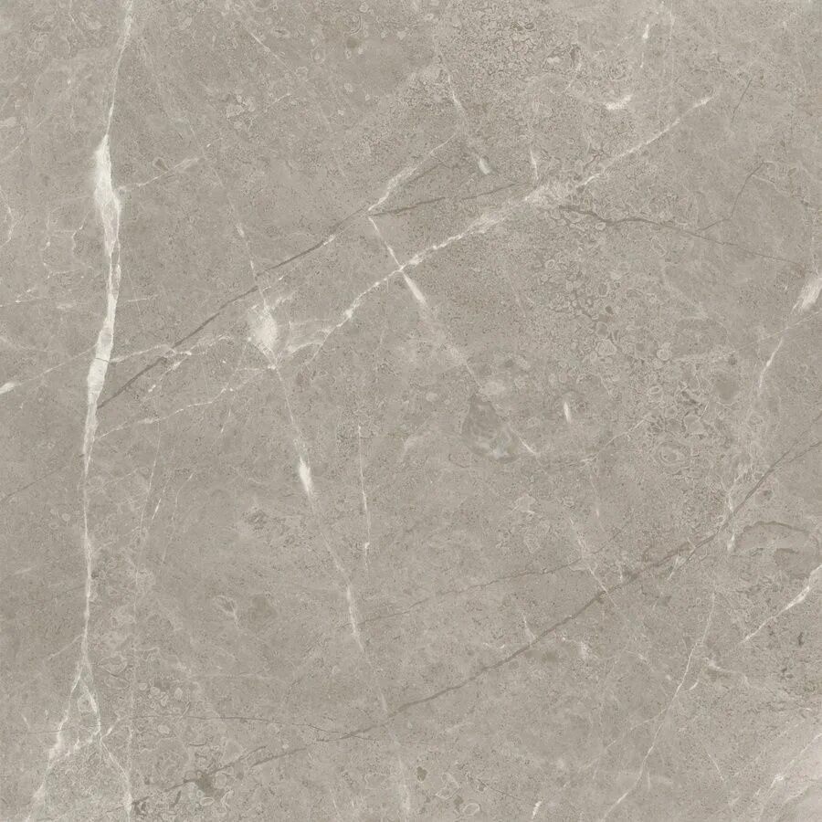 Stone gray. Tanji Grey мрамор. Керамогранит Alpha Gray Marble. Серый Марбл грей. Серый мрамор текстура.