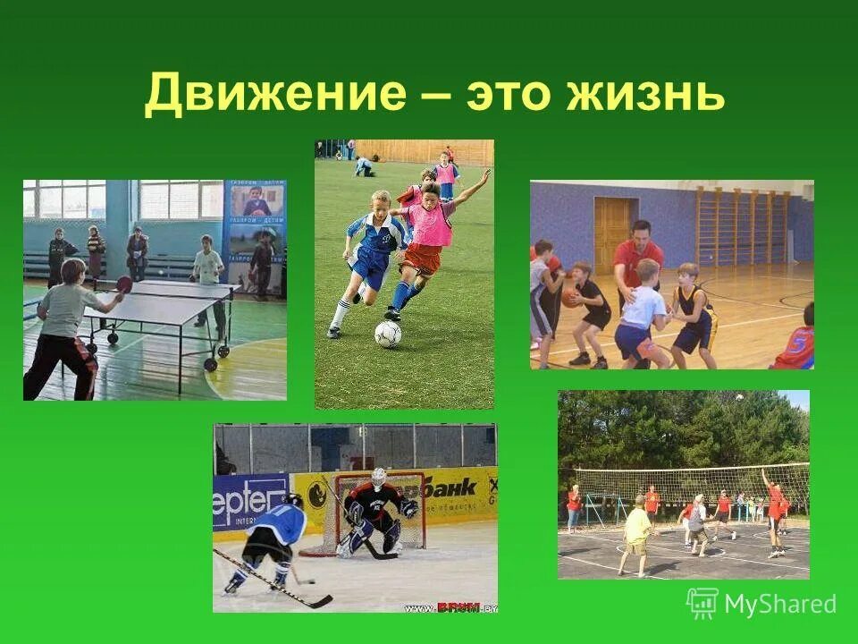 Фразы про движение и жизнь. Спорт движение жизнь. Надпись движение это жизнь. Спорт залог здоровья. Жизнь в движении.