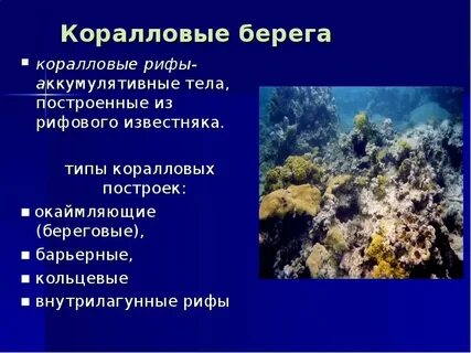 Типы побережья