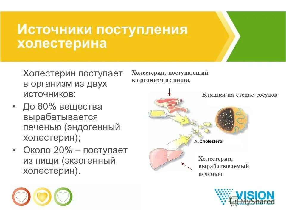 Какое вещество вырабатываемое печенью. Холестерин. Источники холестерина в организме. Где вырабатывается холестерин. Выработка холестерина в организме.