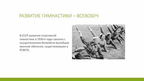 История развития гимнастики