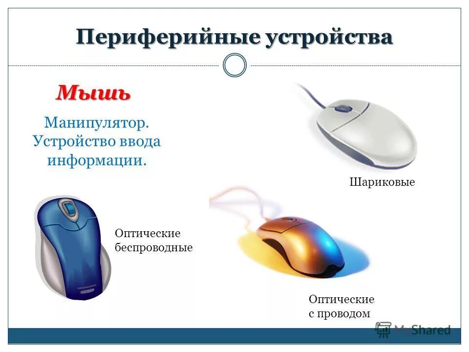 Вид снизу компьютерных мышек. Устройством чего является манипулятор мышь. Манипулятор типа мышь это устройство. Функции манипулятора мышь. Устройства ввода информации мышь.