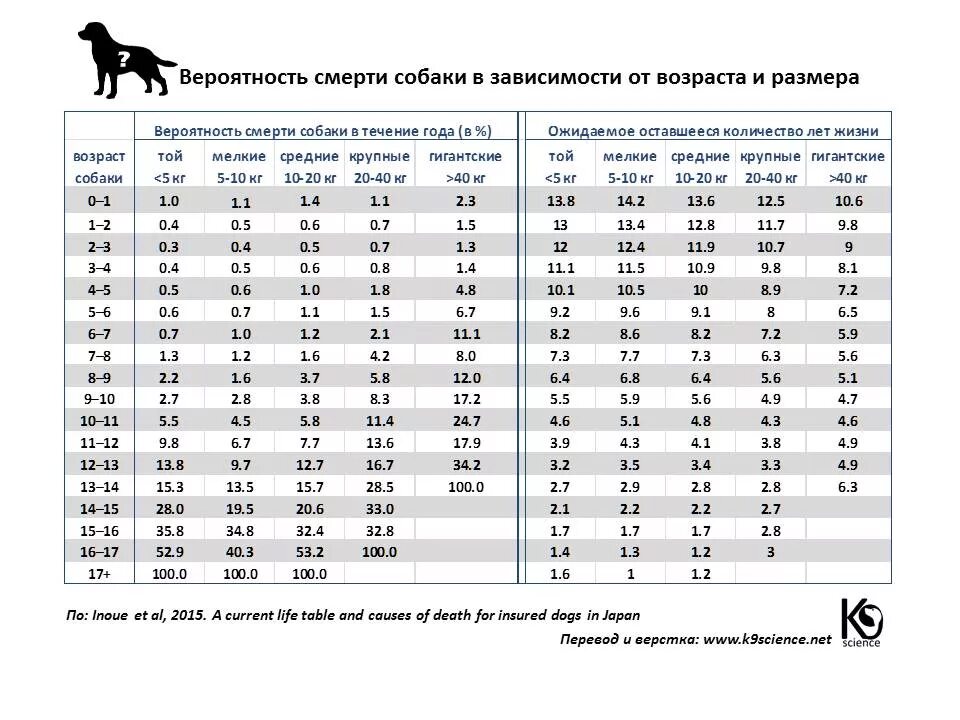 Таблица масс животных. Средняя продолжительность жизни собак по породам таблица. продолжительность жизни собак мелких пород таблица. таблица возраста собак мелких пород. возраст у собак по человеческим меркам таблица по породам.
