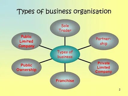 What is the business type