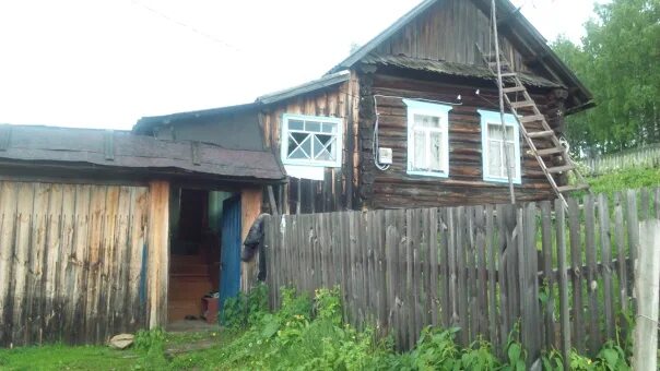 Тукан белорецкий. Тукан белорецкий