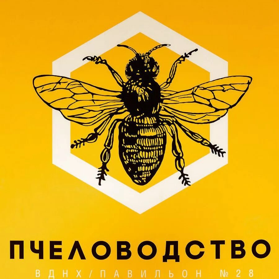 Пчеловодство вднх. Эмблема пчеловода. логотип пасеки. музей пчеловодства на вднх. экоцентр пчеловодство вднх.