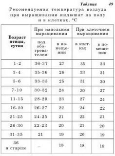 Индейка какая температура
