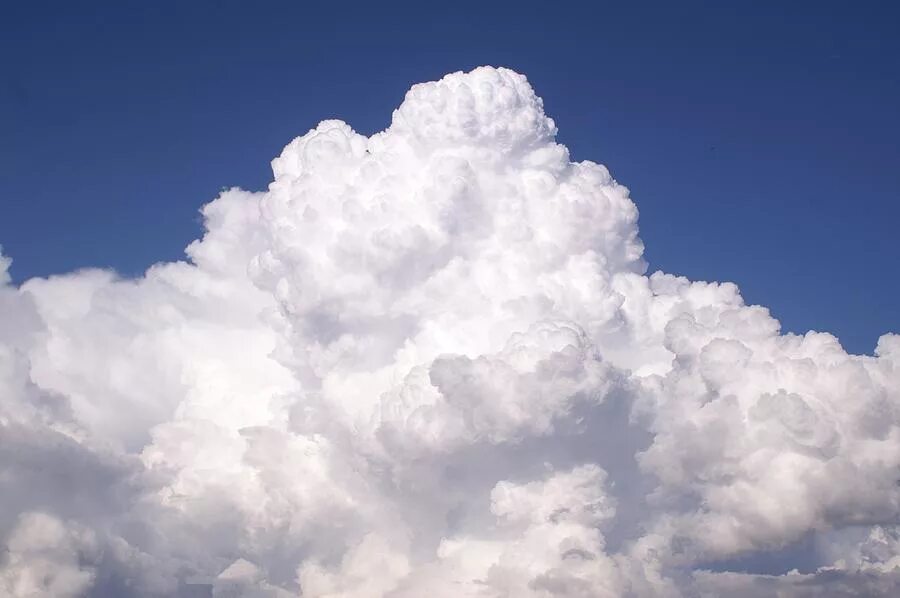 Из за какого вещества облака кажутся белыми. Вайт Клауд (White cloud). Облака. Пушистые облака. Пышные облака.