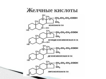 Строение и роль желчных кислот
