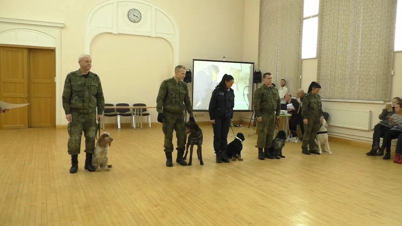Кинология и предпринимательства барнаул