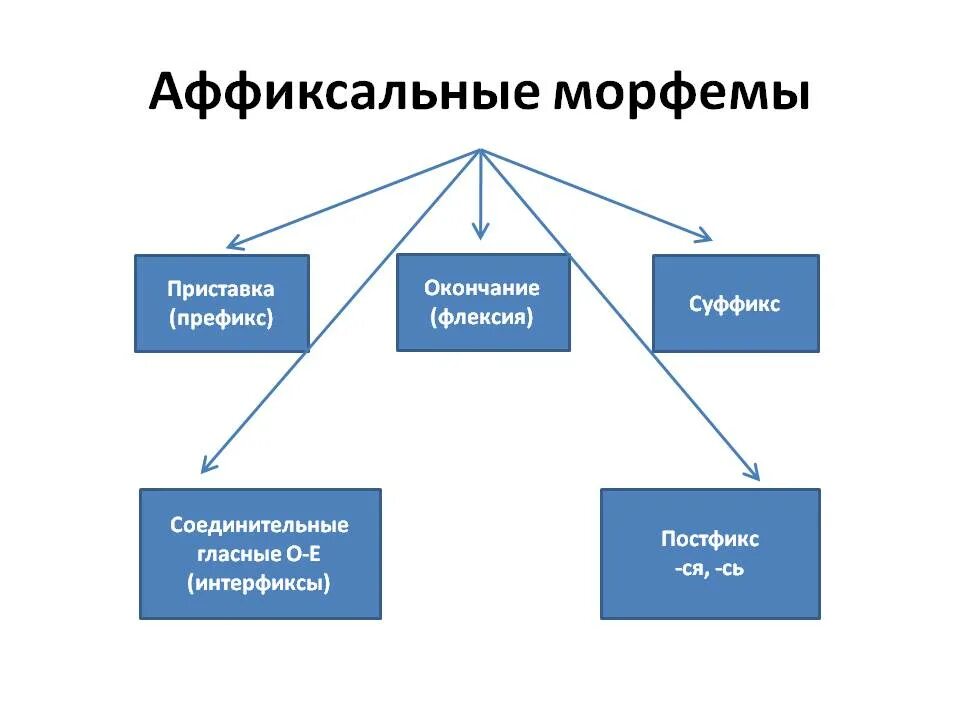 Имена морфемы. Аффиксальные морфемы. Афиксиалные морфы в русском языке. Типы аффиксальных морфем. Аффиксальные морфемы в русском языке.