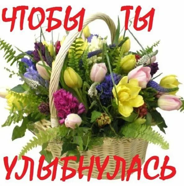 Цветы любимой с добрым утром. Доброго дня лене. Букет для леночки. Милой леночке. Доброго дня лене.