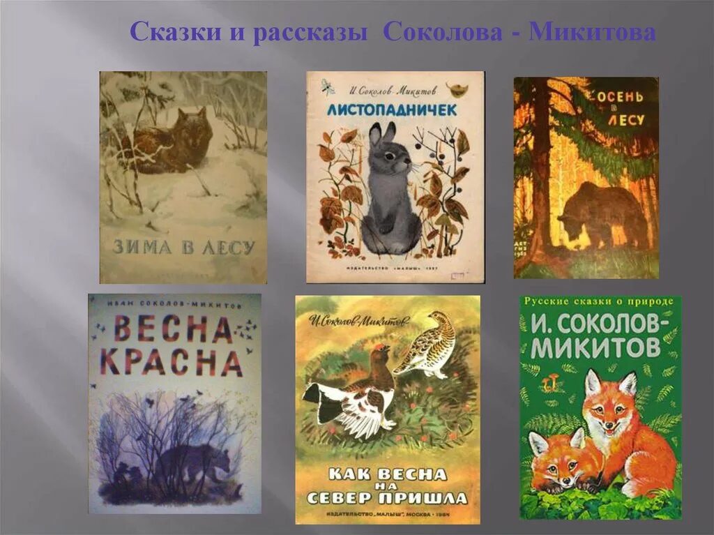 иван соколов-микитов русский лес. книга русский лес иван соколов-микитов. герои произведения русский лес. иван соколов-микитов лес осенью иллюстрации. герои произведения русский лес.