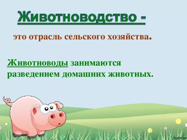 Отрасль животноводства написание безударной: найдено 89 изображений