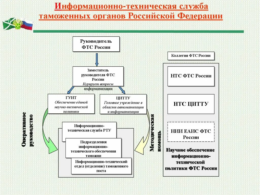 Структура управления информационно-технической политики ФТС России. Информационное обеспечение таможенных органов. Структура системы управления. Структура органов информационного обеспечения. Программная деятельность в организации