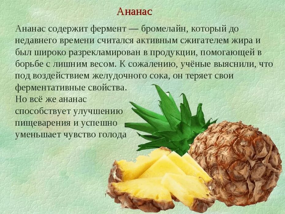 Ананас сжигает жир или нет. Ананас полезные вещества. витамины в ананасе. презентация на тему ананас. полезные фрукты ананас.