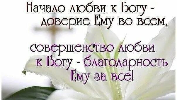 Абсолютное доверие. Доверие Богу. Цитаты о доверии Богу. Доверь Богу свою жизнь. Христианские открытки о доверии Богу.