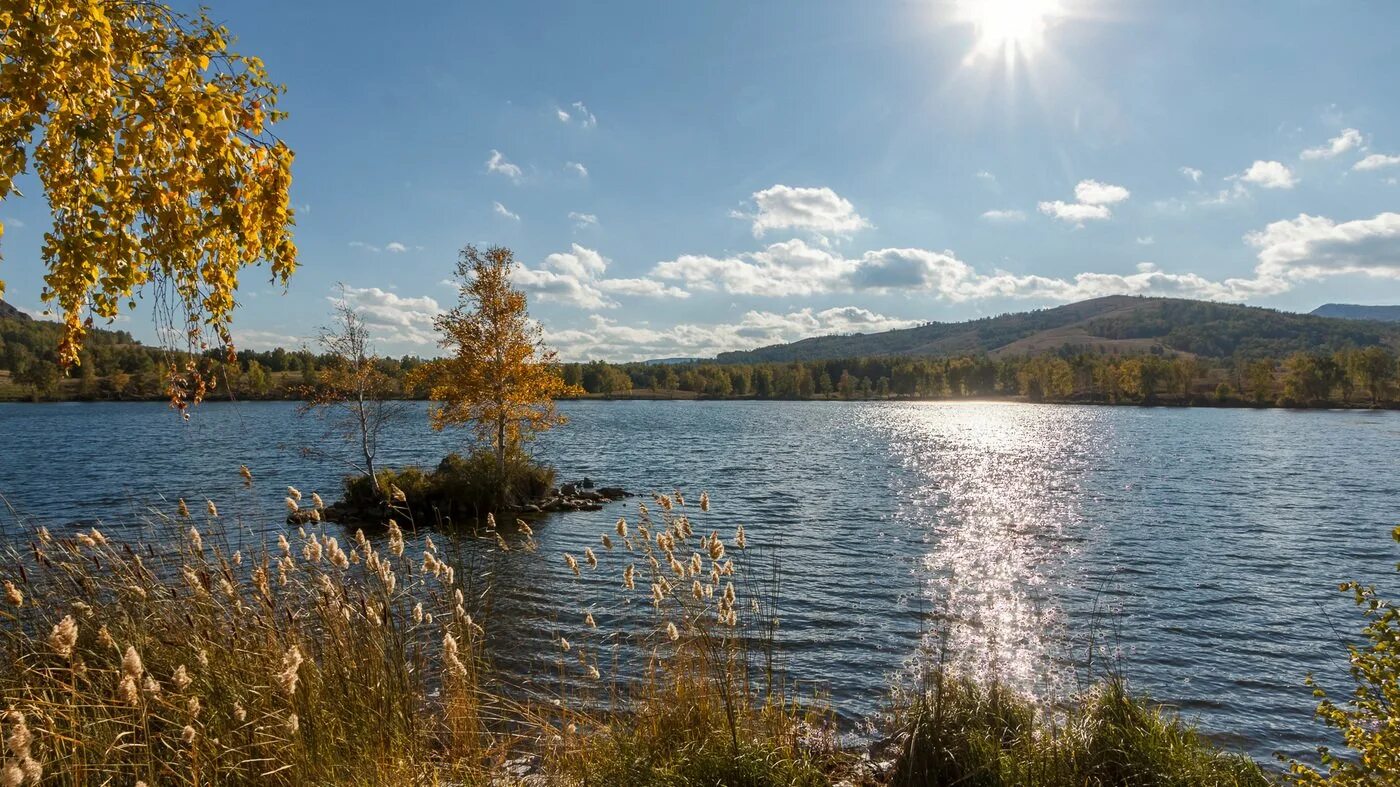 выползово озеро. п большое озеро. озеро сапшо смоленск. озеро большое ершовое ленинградская область рыбалка. озеро аракуль челябинская.
