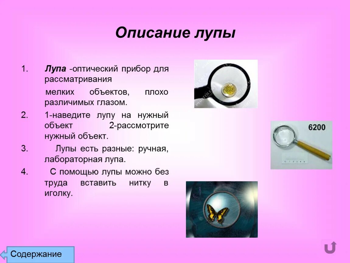 С помощью лупы можно рассмотреть. Оптический прибор лупа физика устройство. Презентация оптический прибор лупа. Лупа описание. Увеличительные приборы физика.