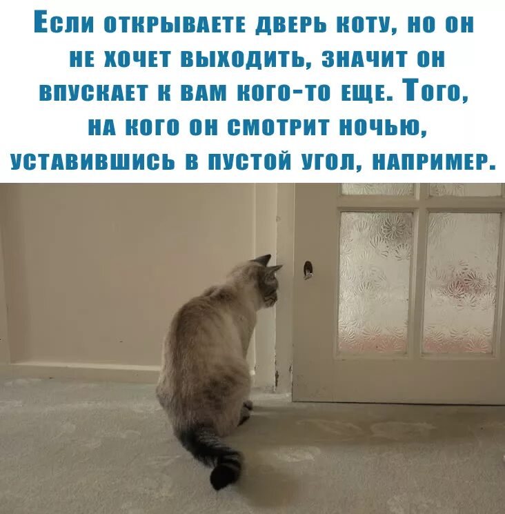 Ну сама открой
