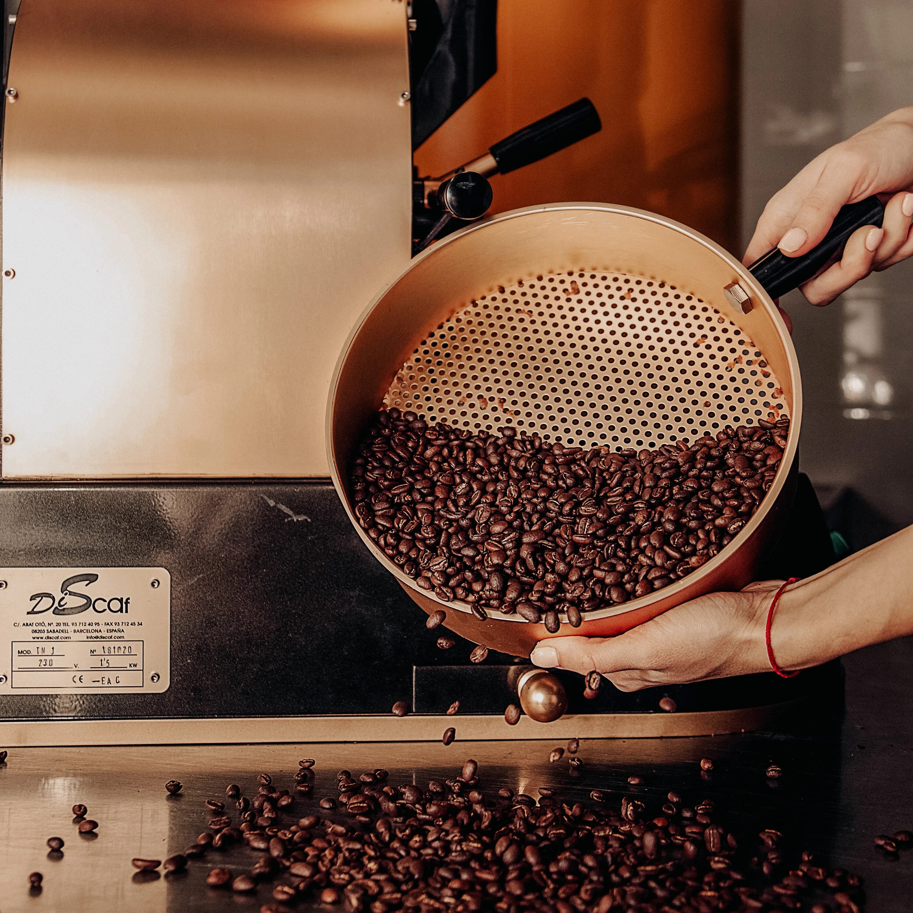 Виды кофейных деревьев. Кофе зерновой арабика. Виды кофейных зерен. Кофе в зернах. Кофейные ягоды перезрелые.