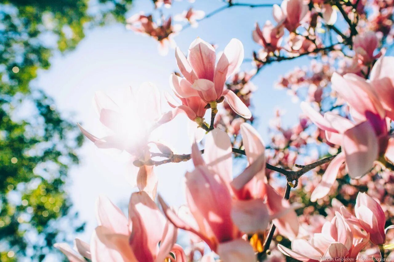 Фотохудожник кристина макеева. Утро весной. Весеннего вдохновения. Весна вдохновляет. Весна вдохновение.