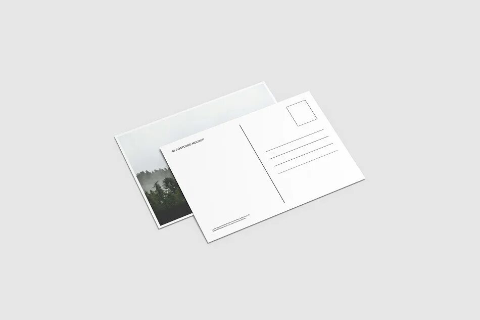 Endtime 1708905600 url v4a2 param envelope msgstr