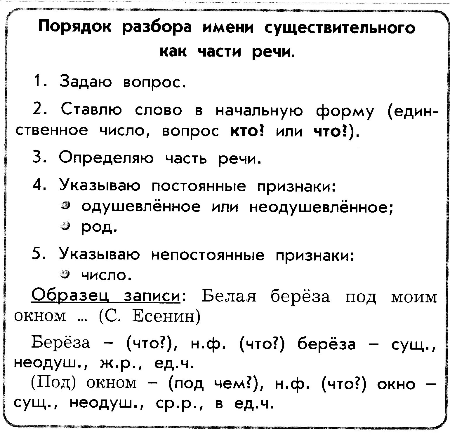 Белые разбор как часть речи. Разбор существительного как часть речи. Порядок разбора имени существительного. Порядок разбора существительного. Разбор часть речи существительных.