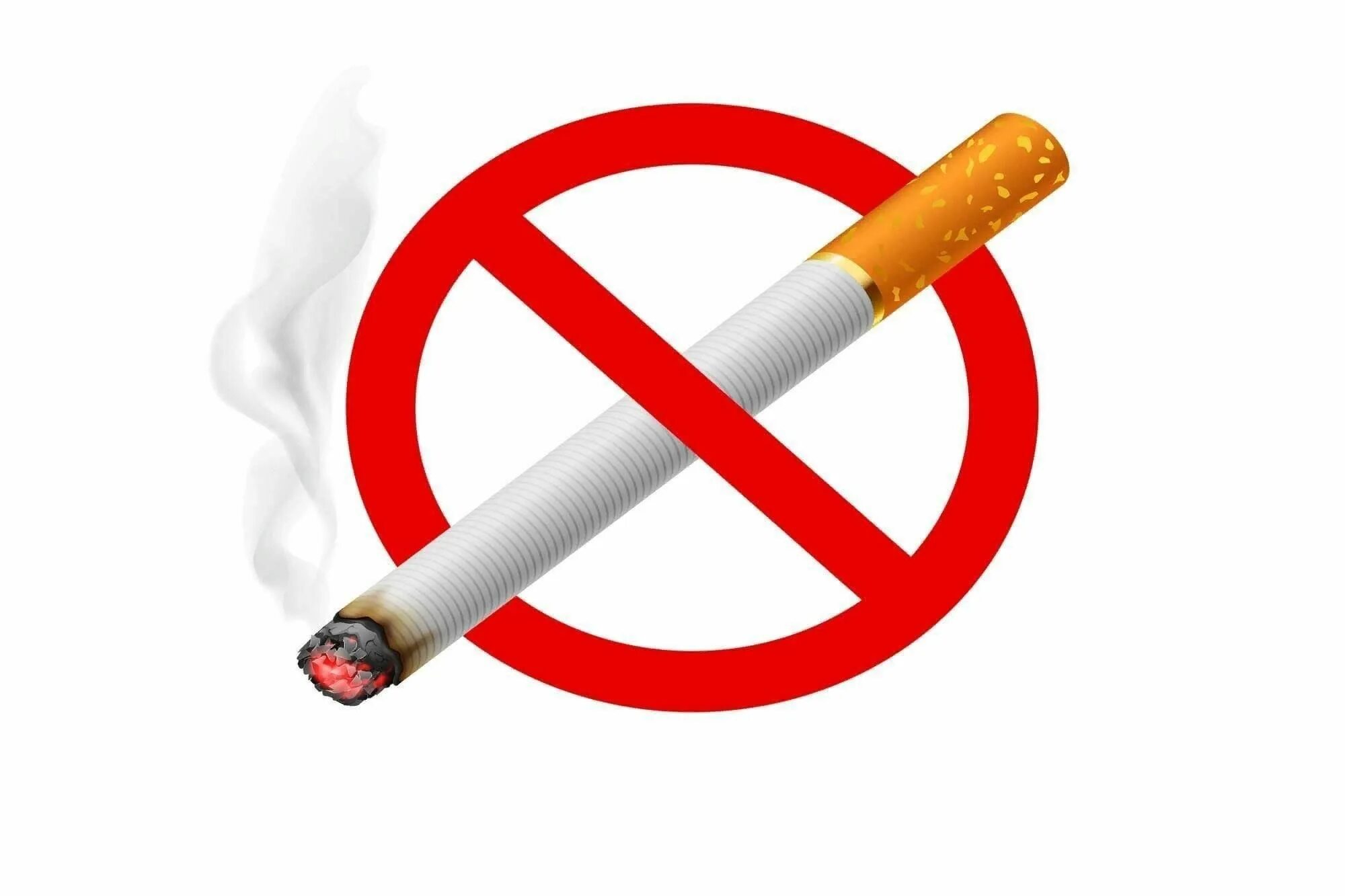 Табакокурение. Отказ от курения на прозрачном фоне. Курение на прозрачном фоне. Сигареты без табака.