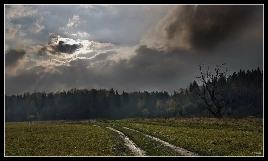 Пасмурный день. Хмурая осень. Пасмурный осенний день. Пасмурный дождливый день. Пасмурно хмуро