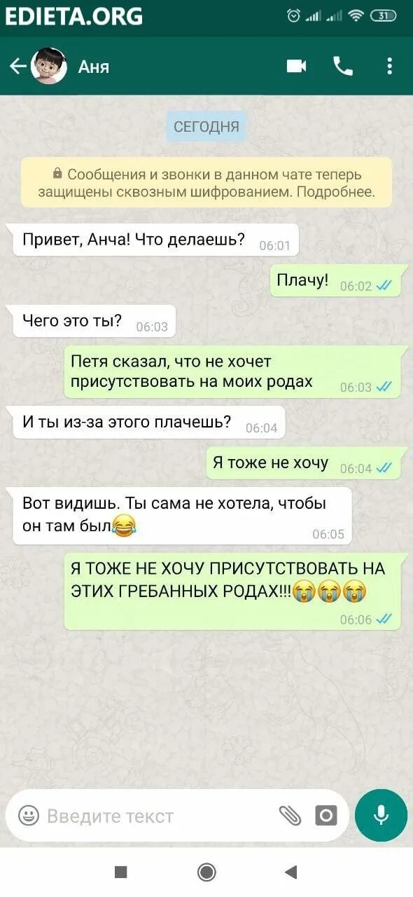 Кидай сообщение. Переписка в ватсапе. Скрин переписки в вотсапе. Смешные переписки в WHATSAPP. Скрийнштот переписок в ватспае.