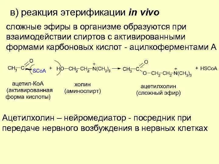 Реакция этерификации холестерина. Реакция этерификации карбоновых кислот. Реакция этерификации сложных эфиров. Реакция этерификации холестерола. Скорость реакции этерификации