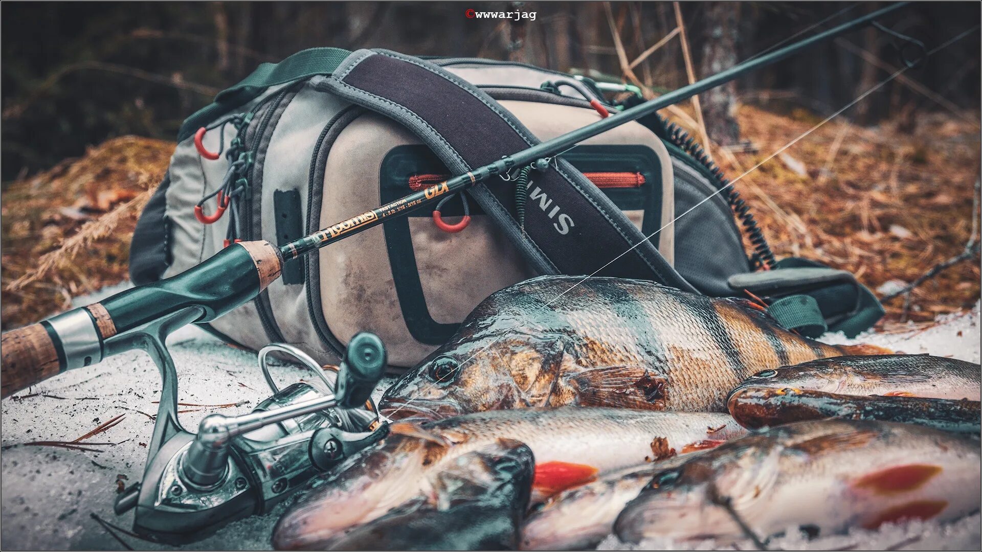 сальск фишинг. рыбалка на реке кочеты краснодарский край. сальск фишинг. хутор рыбацкий сальск. наклейки тлт рыбалка.