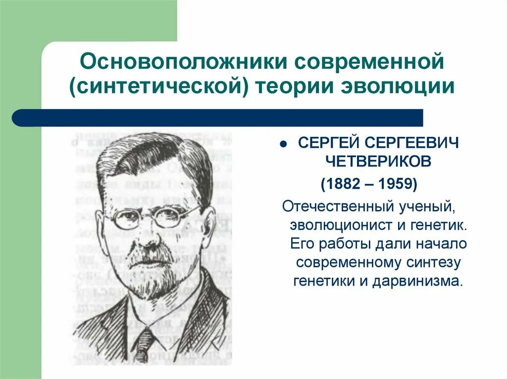 Ученые современной теории эволюции. Четвериков синтетическая теория эволюции. Основоположники современной теории эволюции. Современная синтетическая теория эволюции основоположниками.