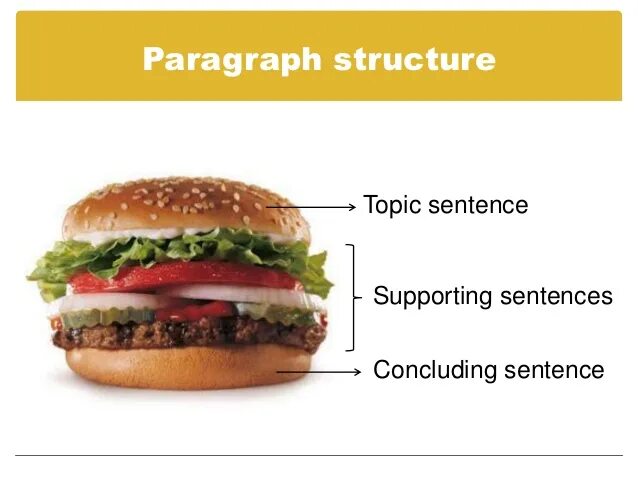 Paragraph structure. Topic sentence concluding sentence. Topic and supporting sentences. Paragraph in English structure topic sentence. Topic sentence supporting sentences