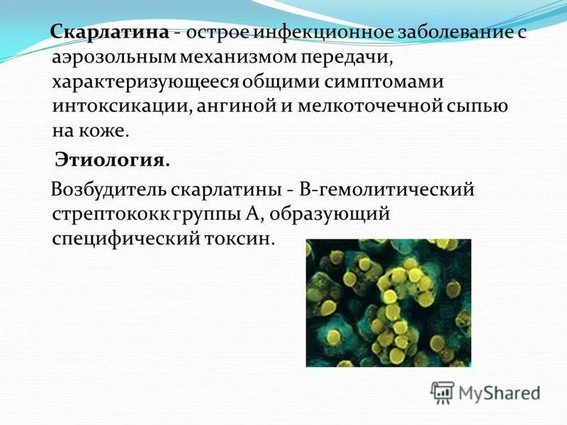 Возбудитель скарлатины является. Возбудитель скарлатины микробиология. Возбудитель скарлатины таксономия. Скарлатина возбудитель заболевания.