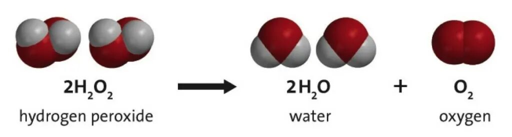 1 водород кислород вода. Распад пероксид водорода. 2 Молекулы пероксида водорода. Формула расщепления перекиси водорода. Формула воды и перекиси водорода.