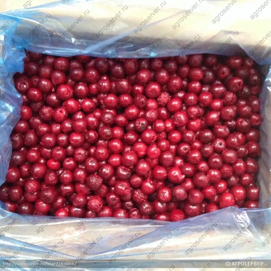10 кг. вишня без косточек зам. вишня мороженная. вишня  свежемороженая. вишня мороженная.