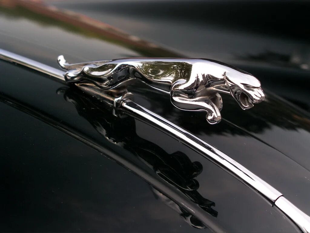 Названия моделей авто. Название машин животных. Отечественные машины названия. Тачки животные. Название машин животных.