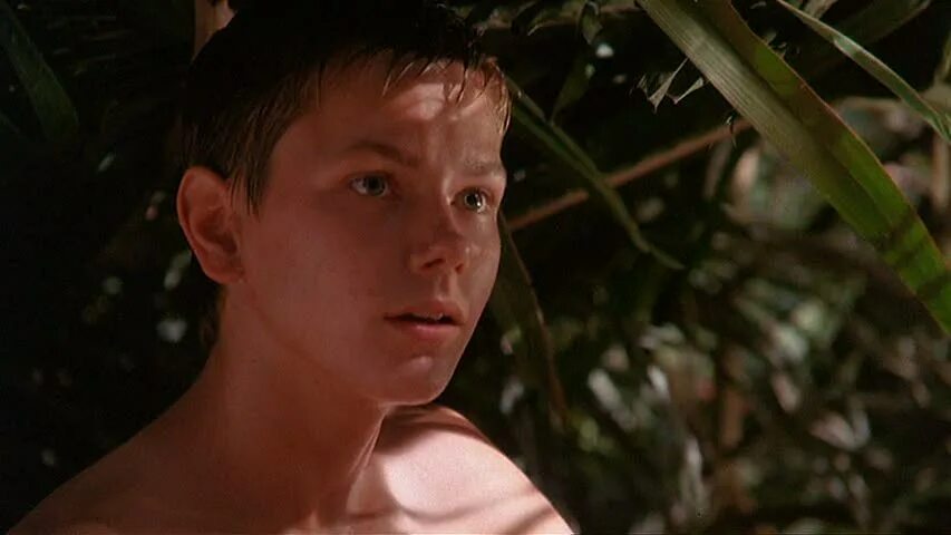 Берег москитов 1986. Фильм mosquito coast. ривер феникс берег москитов. берег москитов сериал 2025. берег москитов фильм 1986 актёры.